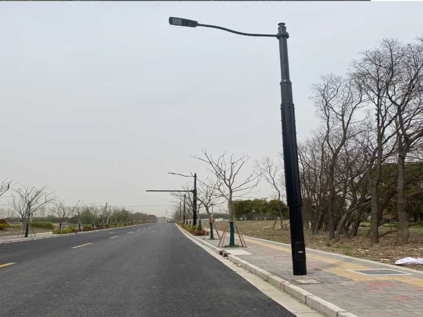 比如县上海综合杆 太阳能路灯工程